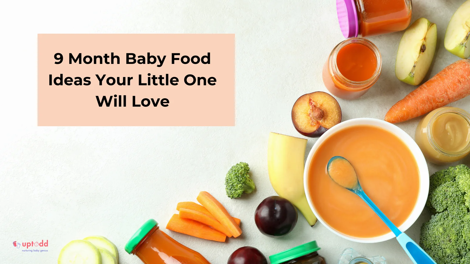 9 Month Baby Food – A complete guide